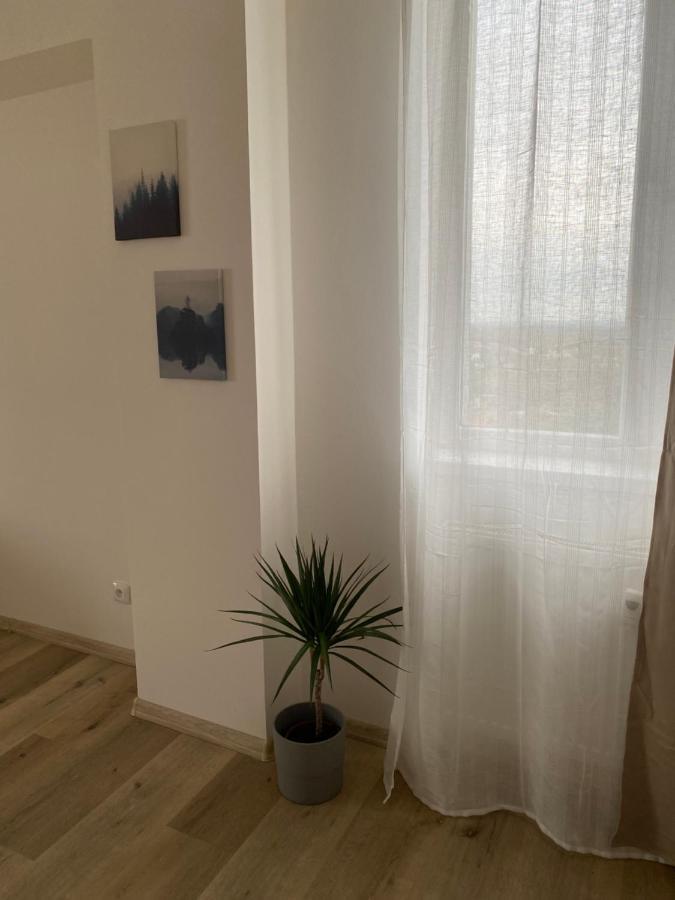 Apartmany Kladno - Libusin Buitenkant foto